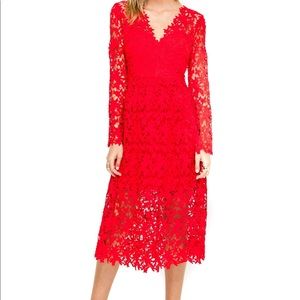 ❤️Stunning NWT ASTR long sleeve lace midi dress ❤️